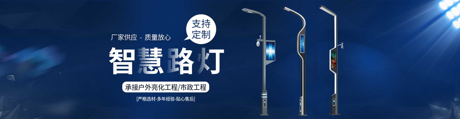 泰兴市太阳能路灯定制厂家